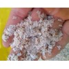 Seed-Top 450 Royal Paulownia Empress Tree Seeds Paulownia Elongata Fastgrowing