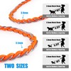 Chain Dog Leash Chew Proof Metal Leash for Medium Large