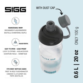 Sigg Pulsar Transparent 0.6 L