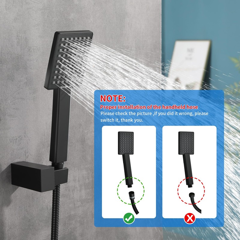 Taplong Matte Black Handheld Shower Head Set, Wall Mount Hand