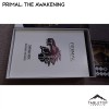 Tabletop Terrain Primal: The Awakening Board Game Insert / Organizer