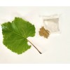 Undisclosed Grape Leaf Tea by Palm Beach Herbals | 30ct,