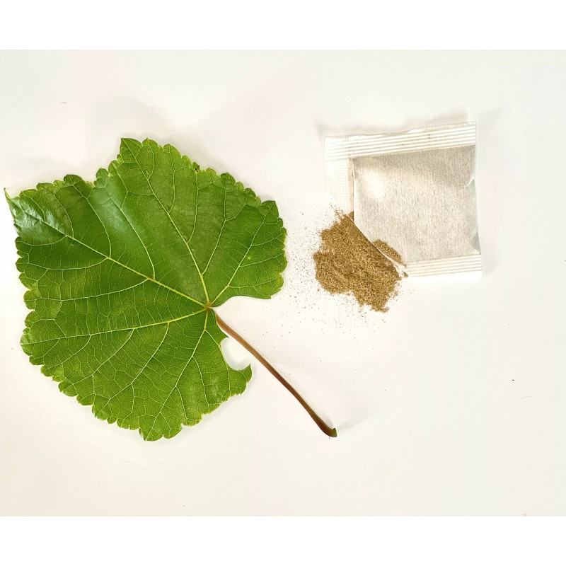 Undisclosed Grape Leaf Tea by Palm Beach Herbals | 30ct,