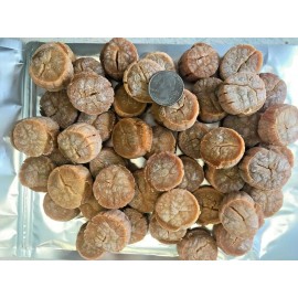 KOGANE 1 LB 100% Japan Hokkaido Dried Scallops EXTRA LARGE Size / - 1 PACK