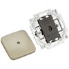 Busch-Jaeger 2538 for Blinds Switch Cover Plate