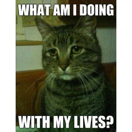 Funny Cat  refrigerator magnet 3 1/2 x 4 1/2"