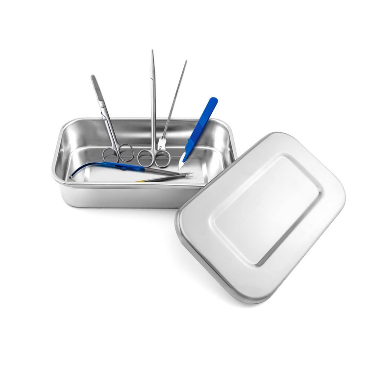 QWORK Stainless Steel Instrument Storage Trays, 2 Pack with Lid,