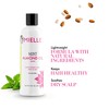 Mielle Organics Mint Almond Oil for Healthy Hair and Scalp,