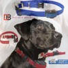 Sparky Pet Co - ECollar Replacement Strap - Easy Release