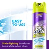 OxiClean Foam-Tastic Fresh Scent Bathroom Cleaner Twin Pack 2-19 oz.