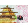 Narumikk Noren, Pink, 33.5 x 59.1 inches (85 x 150
