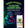 Sustrato Green Monkey 100 Lt All Mix Peat Moss Perlita
