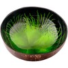 Cocovibes Coconut Bowl Buddha Bowl Lacquered Hand-Made and Environmentally Friendly