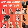 Dog Car Seat Cover for Back Seat for XL Cars,