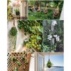 Hanging Orchid Planter Plant Pot: 5 Packs Bamboo Flower Basket