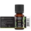 Healing Solutions Garlic Essential Oil - 0.33 Fluid Ounces