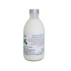 Funky Soap Bio-Körpermilch, energetisierend, grüne Minze, plastikfrei, Glasflasche, 250 ml