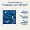 ESTADO PURO FLEXI COLAGENO 275g