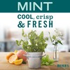 Mrs. Meyer's Clean Day Liquid Hand Soap, Cruelty Free and