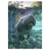 Signs 4 Fun Magnet – Manatee Water Funny Magnet -