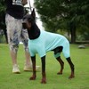 LoveLongLong Dog Jumpsuit with UV Protection and Quick-Dry Fabric for