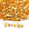 Natural Crushed Shells Chips, 14.5 oz Yellow Mosaic Sea Shell
