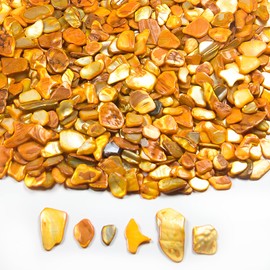 Natural Crushed Shells Chips, 14.5 oz Yellow Mosaic Sea Shell Fragments for Crafts, Small Crushed Shells Bulk Sea Shells for Vase Fillers, Wedding Party, Succulent Plants, Wall Art