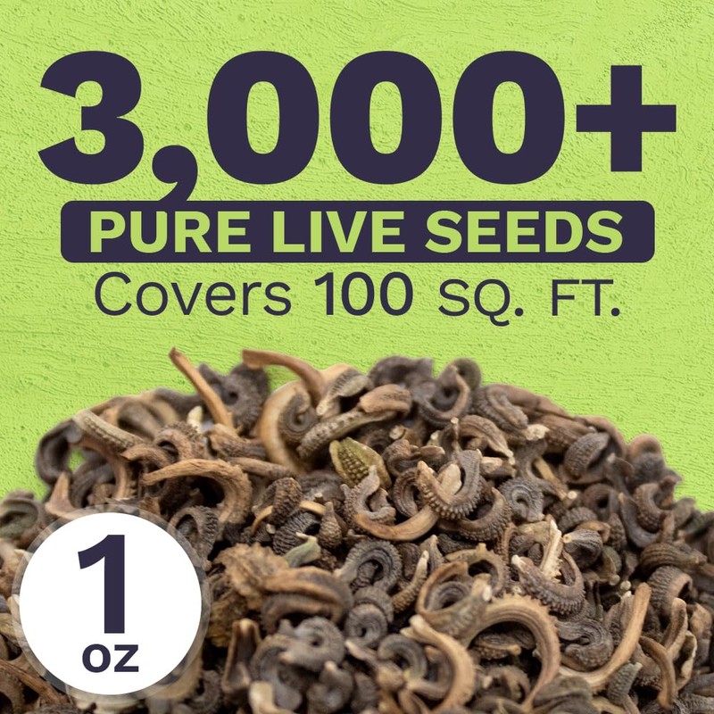 Calendula ‘Pacific Beauty Mix’ – Extra Large Packet – Over