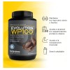 Wp100 Bote De 1400 G - 0 Carbs Y 0