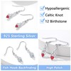 Silvora Sterling Silver Celtics Earrings for Woman Shiny January Birthstone