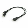 Unbranded USB 2.0 Female to 2 Dual USB Male Power
