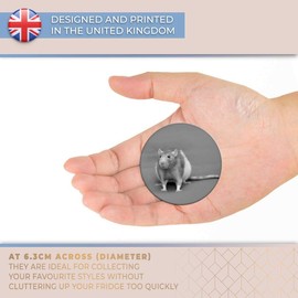 Destination Vinyl ltd Magnet for Refrigerator, Fridge BW - Cute Fancy Rat Rodent Pet for Office, Cabinet and Whiteboard, Magnetic Stickers, 36097