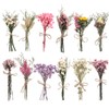 WGXX 12 Pack Dried Flowers for Vase Various Mini Bouquet