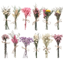 WGXX 12 Pack Dried Flowers for Vase Various Mini Bouquet Dried Small Wildflowers Natural Real Flowers Bulk for Crafts DIY Wedding Decor (Various Series)