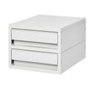 Medium-sized two-tier drawer storage Organizer