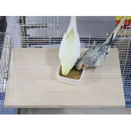 15.7×10.4 Inches Large Bird Perch Stand Platform, Natural Wooden Small Animals Cage Accessories, Rectangle Stand Perch Shelf for Parrot Parakeet Cockatiel Rat Hamster Guinea Pig Conure Chinchillas