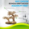 Bonsai Driftwood Aquarium Tree DLS (9 Inch Height x 12