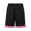 Urban Classics TB243 Men's Shorts Stripes Mesh - Shorts