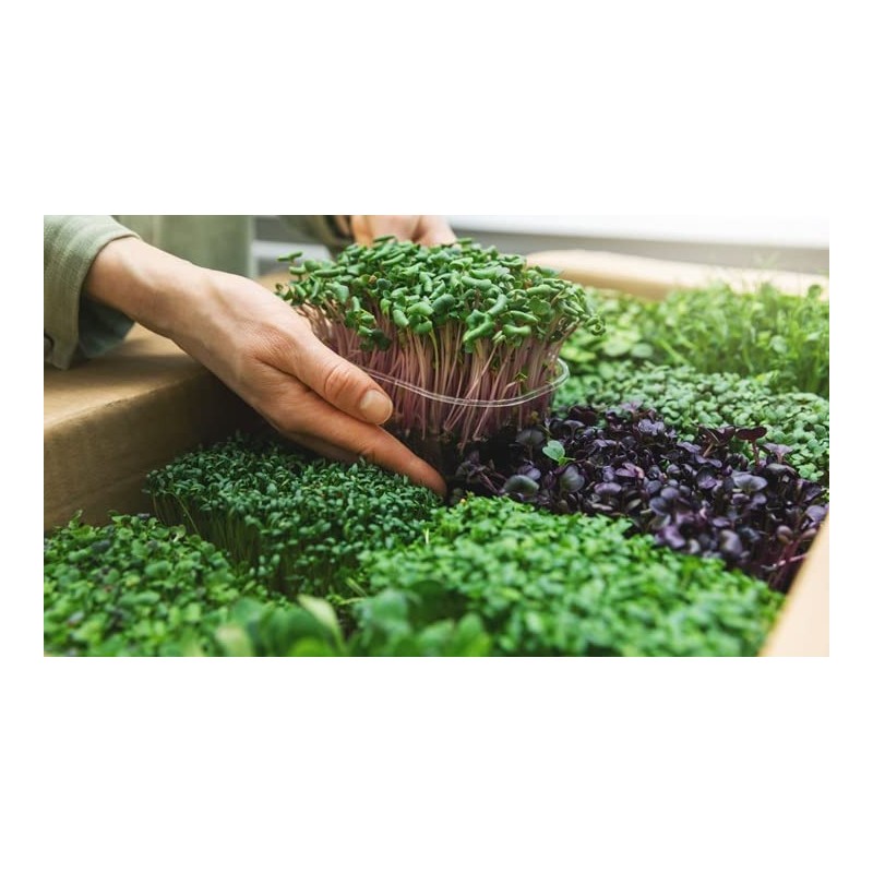 Gardenera Organic Microgreens Potting Mix: Hand-Mixed with Care Using Top-Grade
