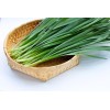 GARDEN SEEDS 50gram / 10000pcs+ Chinese Chives Seeds, Chinese Leek