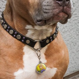 GRAPHICS & MORE Scooby Doo Daphne Character Chrome Plated Metal Pet Dog Cat ID Tag