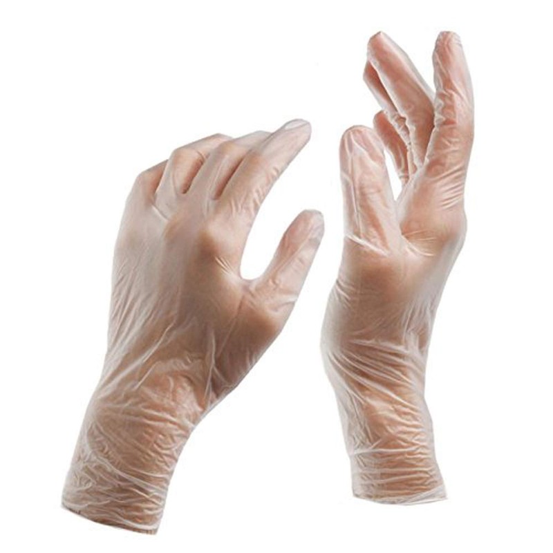 12 x Large Powder Free Vinyl Gloves