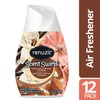 Renuzit Scent Swirls Air Freshener Gel, Vanilla, Apricot Blossom &