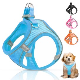 Ledeak No Pull Dog Harness, Highly Reflective Dog Harnesses, Breathable Comfort Anti Pull Dog Harness, Adjustable Lightweight Dog Harness with Strong Buckle for All Dog Breeds (Sky Blue, S)