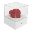 Rose Night Light Romantic Small USB Charging Soft Brightness Decoration