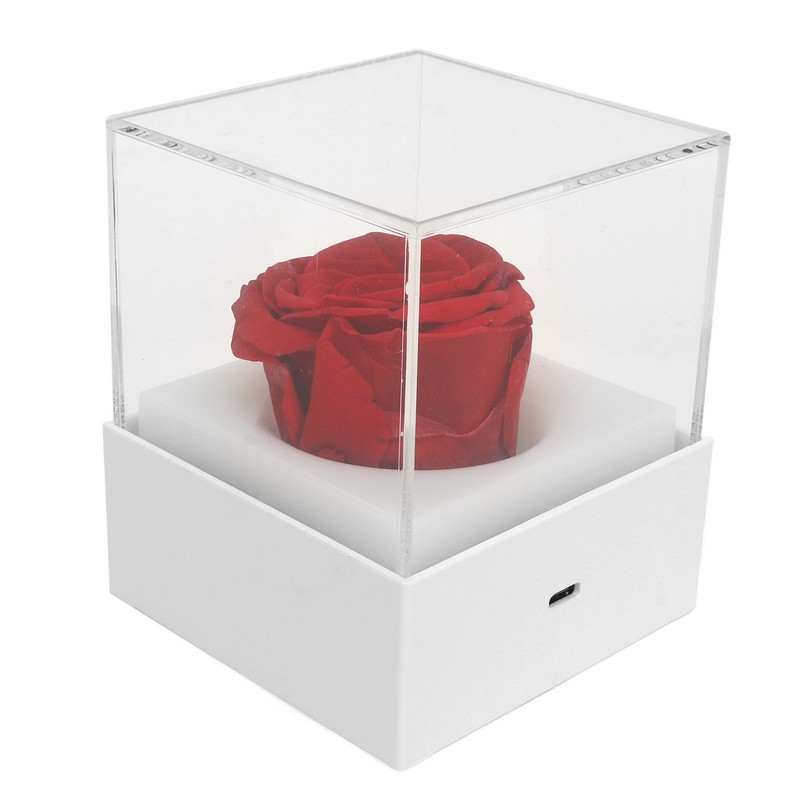 Rose Night Light Romantic Small USB Charging Soft Brightness Decoration