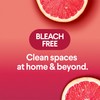 Clorox Scentiva Disinfecting Wipes, Grapefruit and Orange Blossom, 75 Ct.,