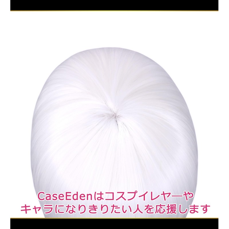 CaseEden 6083 Premium Cosplay Wig, 39.4 inches (100 cm), Long