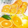 Dehydrated Dried Orange Slices Wheels,7.1oz / 200g | Approx 40