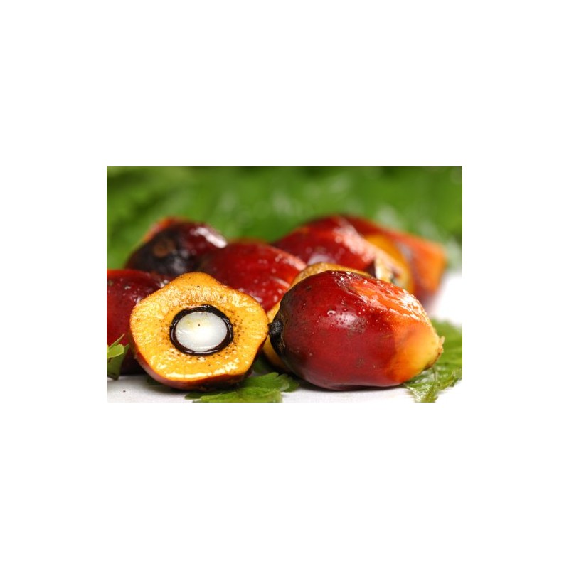 OKONATUR 100% Extra Virgin Red Palm Oil - 16 Fl